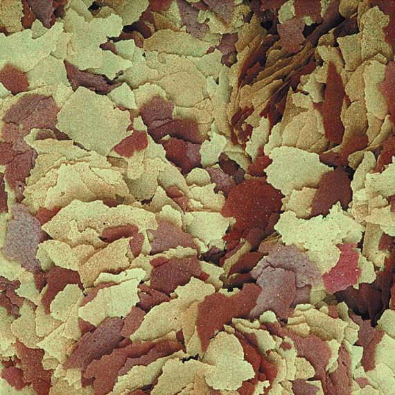 Корм Tropical Tropical для всіх акваріумних риб пластівці 21 л / 4 кг | Зображення 1