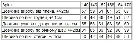 Костюм для хлопчика (підлітковий) Носи своє 146 Сірий (p-14118-158547) | Зображення 3