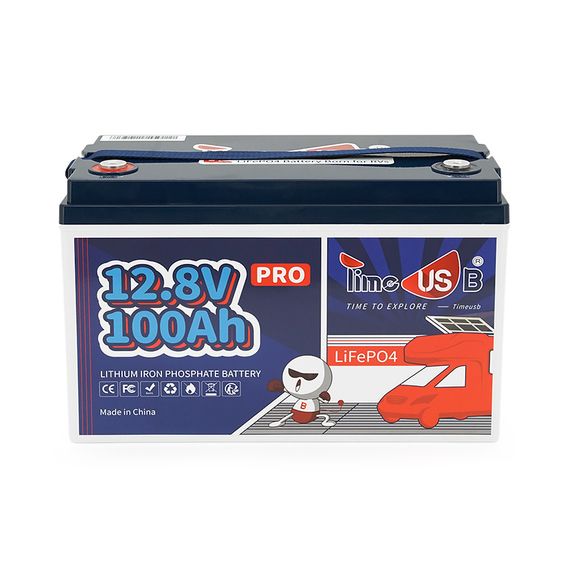 Акумуляторна батарея LiFePO4 Timeusb 12.8V 100Ah Pro, 1280Wh, BMS 100A, 260*168*210мм | Зображення 1