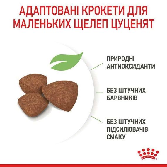 Сухий корм Royal Canin MINI PUPPY для цуценят дрібних порід 8 кг | Зображення 4
