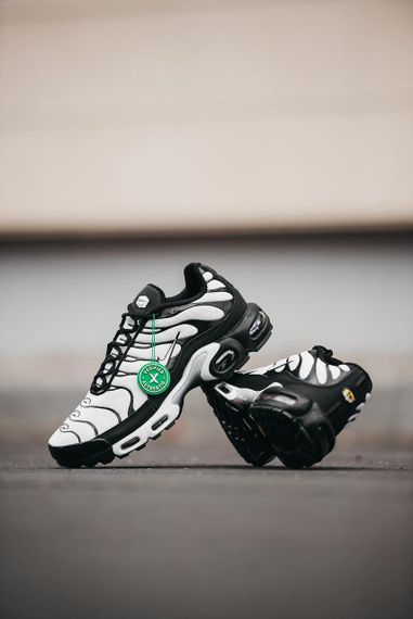 Кроссовки N-ike Air Max TN Black/White | кеды мужские 44 - 28 см | Зображення 3