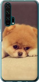 Чехол на Huawei Honor 20 Pro Boo 2 "890u-1702-17620"