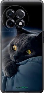 Чохол на OnePlus Ace 2 5G Димчастий кіт "825u-4043-2448"