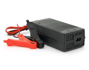 Зарядка Merlion для АКБ LiFePO4 24V (29.2V),8S,5A-120W.крокодиллы,BOX