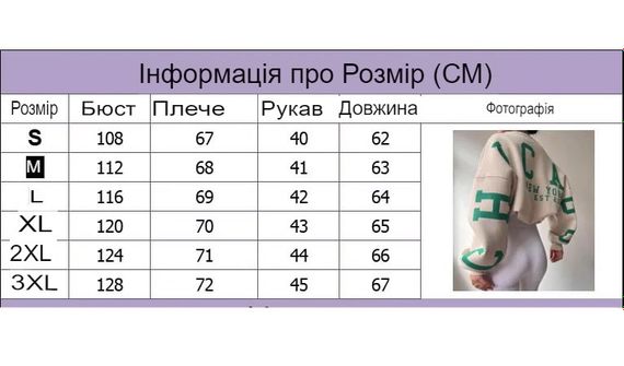 Жіночий вільний світшот SV із буквеним принтом на флісі XL Сірий (sv2690) | Зображення 2