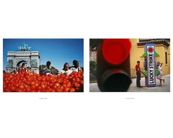 Подарочные книги для фотографов Alex Webb: Dislocations альбомы известных фотографов Алекс Уэбб | Зображення 8