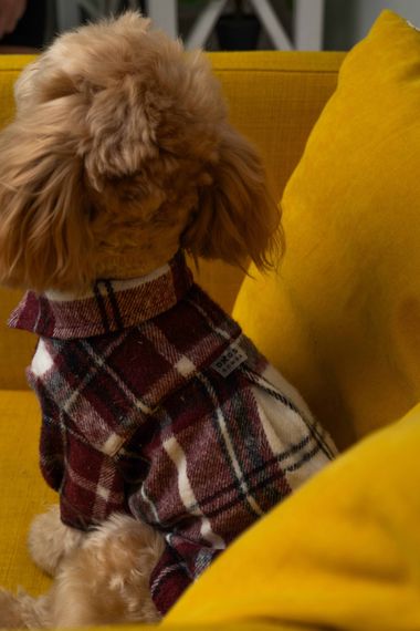 Сорочка картата винного кольору RUB-54 | Зображення 1