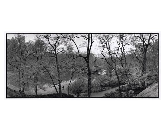Книга альбом відомих фотографів з фотографіями Брюса Девідсона Bruce Davidson "Central Park" Б/У | Зображення 5