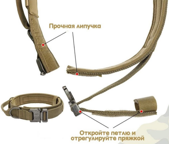 Тактичний нашийник Primo DOG для собак, розмір XL (53-63см) - Khaki | Зображення 5