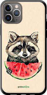 Чохол на iPhone 11 Pro Єнотик з кавуном "4605b-1788-2448"