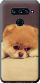 Чехол на LG V40 ThinQ Boo 2 "890u-1577-17620"