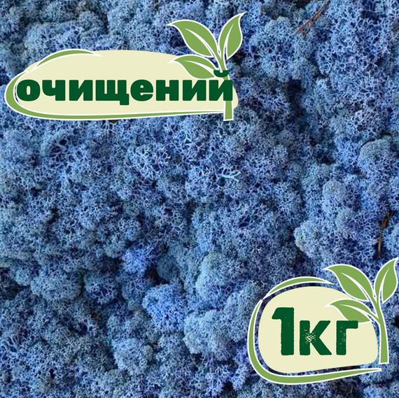 Очищенный стабилизированный мох ягель Nordic moss Лавандовый 1 кг