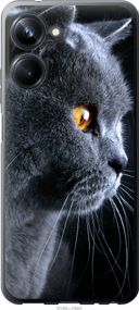 Чехол на Realme 10 Pro Красивый кот "3038u-2945-17620"
