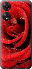 Чехол на Oppo A78 5G Красная роза "529u-3169-17620"