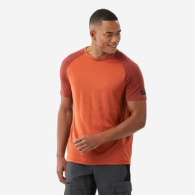Футболка чоловіча Merino Resist з мериносової вовни коричнева - L.