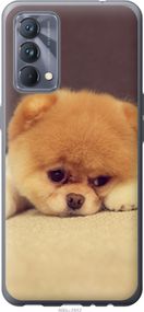 Чехол на Realme GT Master Boo 2 "890u-2852-17620"