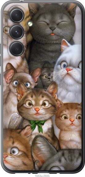 Чехол на Samsung Galaxy A54 A546E коты "1653u-2935-17620"