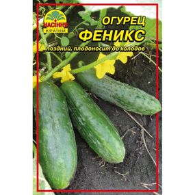 Насіння огірка Фенікс 5 г