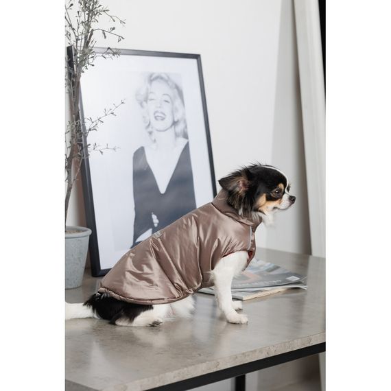 Жилет Pet Fashion Hardy для собак утеплений водонепроникний з отвором для повідця бежевий розмір M | Зображення 5