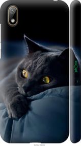 Чохол на Huawei Y5 2019 Димчастий кіт "825m-1695-2448"