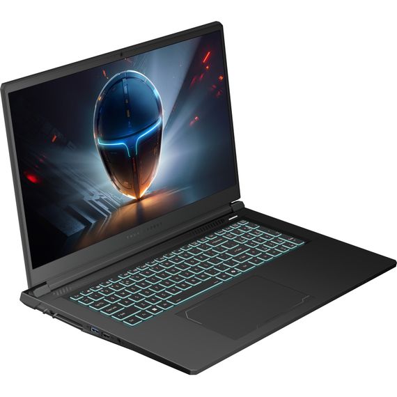 Ноутбук Thunderobot 911 X17 (911X17-i7136H56C1Q165MBD) | Зображення 1