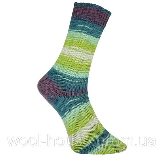Шкарпеткова пряжа Pro Lana Golden Socks Ball, 06 | Зображення 1