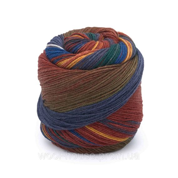 Шкарпеткова пряжа Laines du Nord Infinity Sock, 17 | Зображення 1