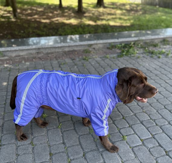 Дощовик Спорт на флiсi фіолет MF-35 | Зображення 2