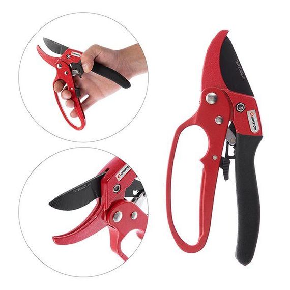 Секатор, 200 мм, різ: Ø 22 мм INTERTOOL FT-1005 | Зображення 1
