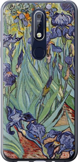 Чехол на Nokia 7.1 Винсент Ван Гог. Ирисы "161u-1593-17620"