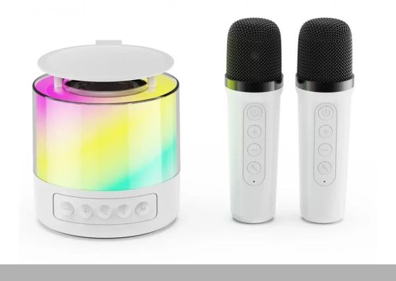 Портативна караоке-колонка K19 з LED-підсвіткою XPRO (47747-K19_283)