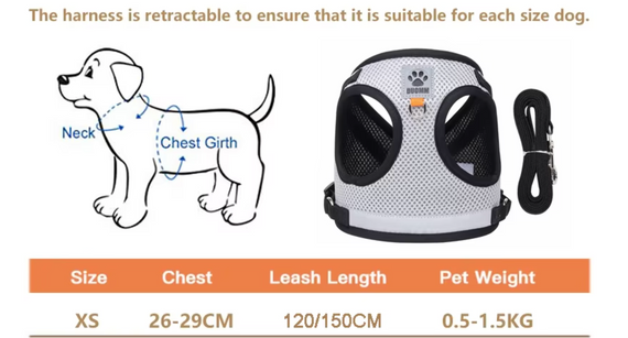 Повідець із шлейкою для собак дрібних порід, розмір XS, світловідбивний, м'який, всесезонний | Зображення 1