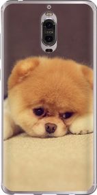 Чехол на Huawei Mate 9 Pro Boo 2 "890u-819-17620"