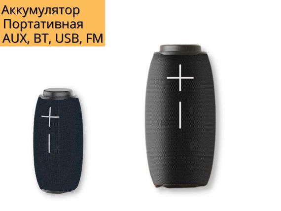 Портативна колонка XPRO P31 10Вт USB, AUX, FM, Bluetooth чорна (P31) | Зображення 1