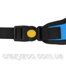 Шлея для собак BronzeDog Sport неопрен сітка блакитна 20х28-33 см 7302 | Зображення 1