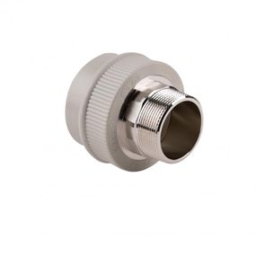 Муфта PPR Thermo Alliance 63х2" ЗР DSB310