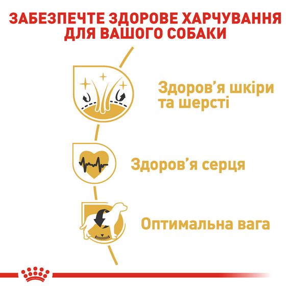 Сухий корм для собак Royal Canin Golden Retriever Adult  породи золотистий ретривер в віці від 15 місяців. 12 кг | Зображення 2