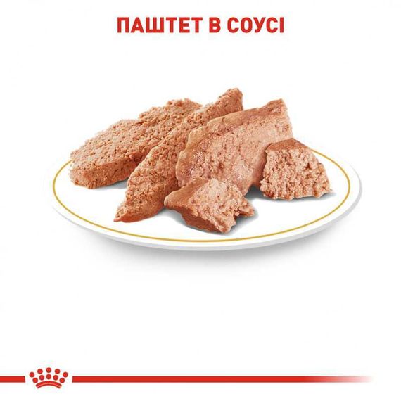 Вологий корм Royal Canin Chihuahua Adult для дорослих собак породи чихуахуа, 85 г | Зображення 3
