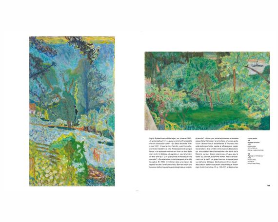 Книга про художників, П'єр Боннар Caspar Pierre Bonnard живопис книги для художників | Зображення 3