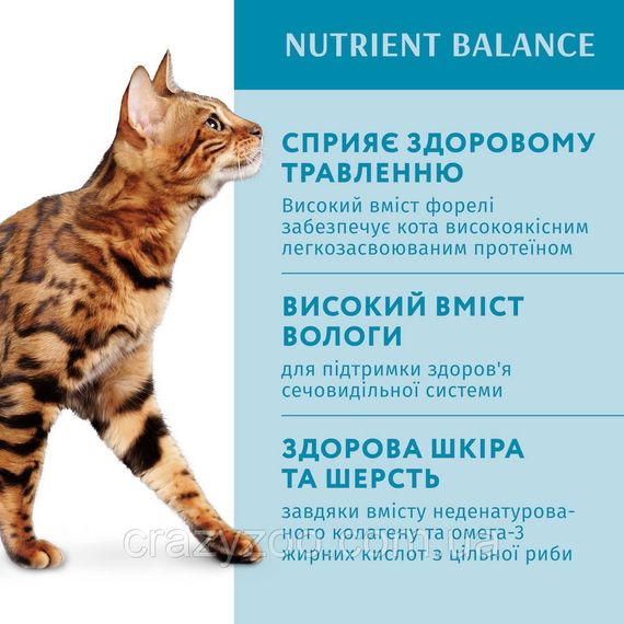 Вологий корм для котів OptiMeal Adult із фореллю в кремовому соусі 85 г B2711802 | Зображення 1