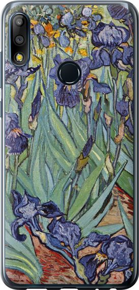 Чехол на Asus Zenfone Max Pro M2 ZB631KL Винсент Ван Гог. Ирисы "161u-1641-17620"