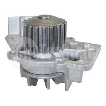 Водяной насос Citroen Berlingo 1.9 d/ 2.0 HDi 98-11/ Jumper/Jumpy 2.0 HDi 98-06/ Fiat Ducato/Scudo 2.0 JTD 98-06/ Peugeot