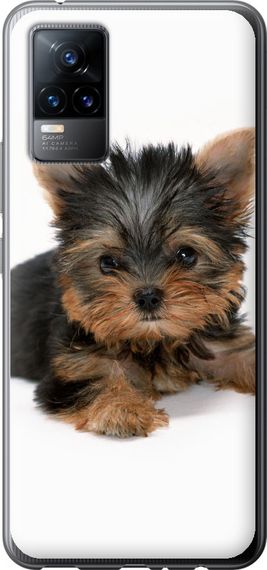 Чехол на Vivo V21E Щенок йоркширского терьера "931u-2375-17620"