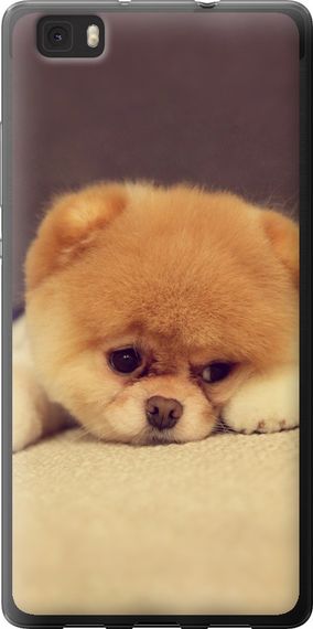 Чехол на Huawei Ascend P8 Lite Boo 2 "890u-126-17620"