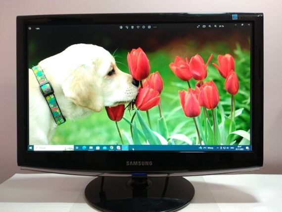 Монітор Б-клас Samsung SyncMaster 2033SN / 20" (1600x900) TN+film / VGA б/в | Зображення 2