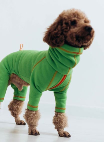 Костюм Марсель зелений D-186 | Зображення 1