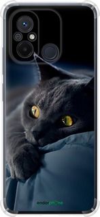 Чохол на Xiaomi Redmi 12C Димчастий кіт "825sp-2962-2448"