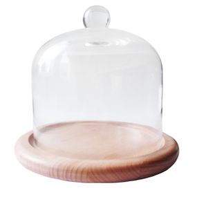 Тортівниця з кришкою Mazhura Candy Bar MZ-323620 19 см
