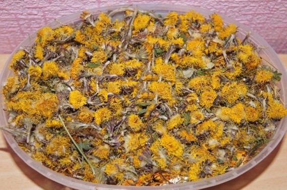 100г., Мати мачуха / Мати й мачуха / Мачушник / Білпух / підбій (цвіт), 100г.