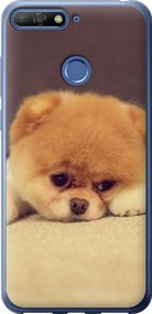 Чехол на Huawei Honor 7C Boo 2 "890u-1411-17620"